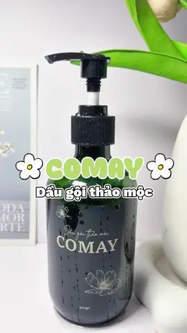 Có dầu gội Cỏ May giải pháp từ thiên nhiên cho tóc gãy ,rụng nè🍃#comay #daugoicomay#fyp #yduoctamhang #tamhangnaturecare 