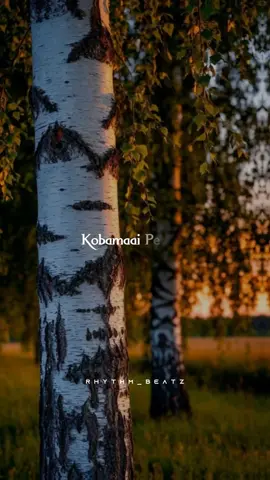 கோபமாய் பேசினேன் வார்த்தையை வீசினேன் 🥹🤍 #tamilsongs #whatsappstatus #rhythmbeatz #rhythm #meenu 