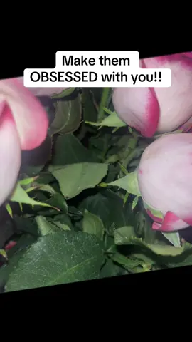 When you master softness, you become magnetic ✨ Thanks @Luna Childs 🧿 for this self-love ritual 🙏🏾 #witchtok #BeautyTok #selfloveaffirmations #fyp #FeminineEnergy 