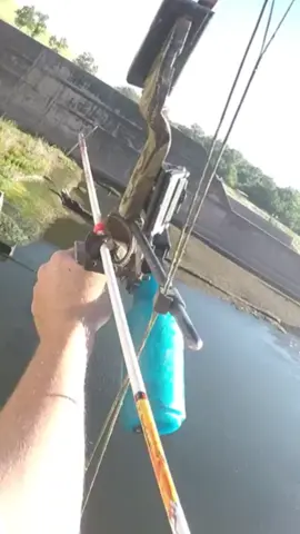 crazy bowfishing shot!!  #bowfishing #fishing #archery 