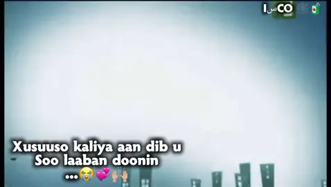 50k like ku tuur #😭 #mbc3 #viralvideos #fyp #foryoupage 