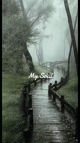 #darkacademia #rainyday #mysoul #fantasy #magic 