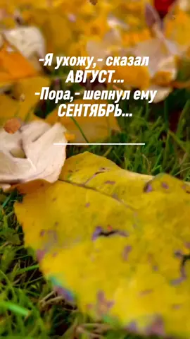 #осень #конецлета #цитаты #жизненно 