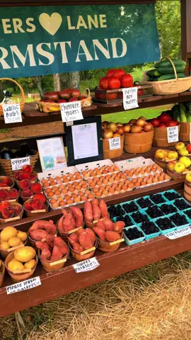 I drive 30 miles and get so much joy out of coming to this farm stand!! @@loverslanefarmstand##farmstand##shoplocal##farmlife##loverslanefarmstand