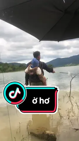 Đam mê nó khó tả lắm!! passion🤣🇻🇳#fishing #câucá #toaimesalock #taynguyen #caucagiaitri 