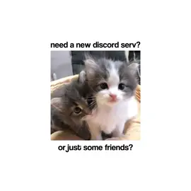 join us #discord #friends #discordserver #roblox #fyp 
