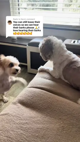 #joinwithus #PetsOfTikTok #dogs #puppiesoftiktok #foryoupage  
