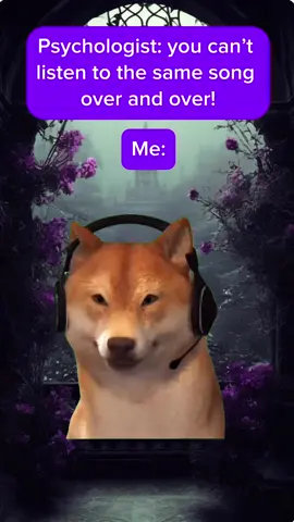 #Meme #demonhunter #kpop #whatitsoundslike #amitheproblem 