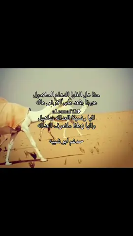 حنا هل الغلبا الدهاه الحلاحيل عدونا يقعد على الارض عاله اليا رضينا للعداله مداهيل واليا زعلنا مانعرف العداله مدغم ابو شيبه #السبيعي #sn #اكسبلورexplore #الخرمه_الغريف_رنيه_رماح 