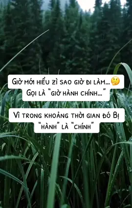 Quá trời quá đất rồi … #capcut #xuhuong #trending #xuhuongtiktok #trangmyo 