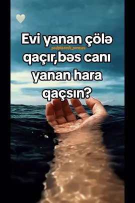 Hara?#görüb_keçmə_bəyən❤ #keşfetteyizzz #greenscreen #Love #fypviralシ 