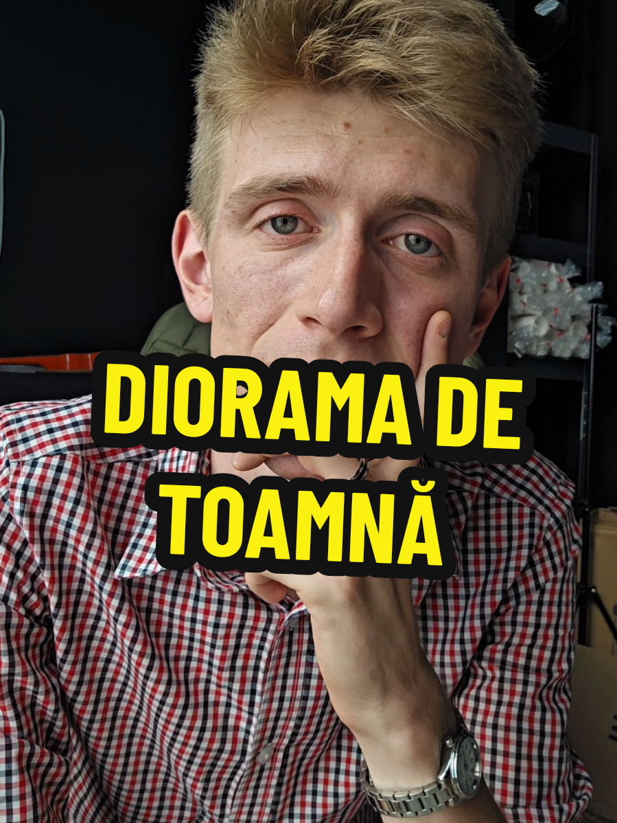 Replying to @not_1luis Fără dubii👻 #toamna #poveste #diorama #flavizzio 