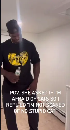 If your cat can open a door I’m just stay my ass home 😆 . . . . . . . . . . #funny #humor #blackpanther #cat #viral 