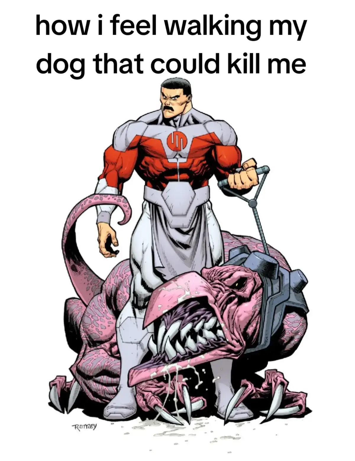 #dog #invincible #conquest #destroyer #power 