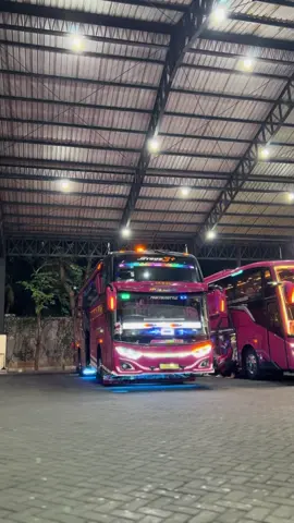 pernah viral dimasanya  #DAT #busviral #fyp #omteloletom #busmania
