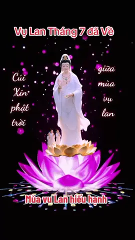 #muavulan #vulanbaohieu #xuhuongtiktok #nhachaymoingay #
