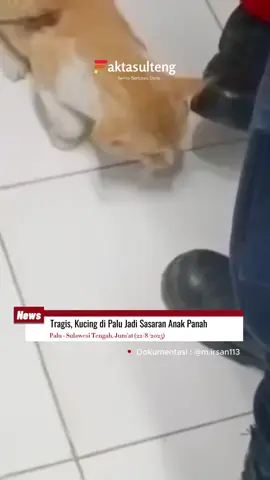 Seekor kucing ditemukan tertancap anak panah di Jalan Hangtuah, Palu. Beruntung, tim DAMKARMAT @damkar_kotapalu berhasil mengevakuasi dan menyelamatkannya. Menurut dugaan, ini ulah iseng atau kesengajaan.  👉 Menurut kalian, pelaku pantas dapat hukuman apa? 🐾  #Faktasulteng #BeritaPalu #KotaPalu #Sulawesitengah #DamkarmatPalu 