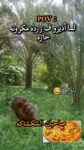 #explore #libya🇱🇾 #ليبيا_طرابلس_مصر_تونس_المغرب_الخليج #مروان_بن_غزي 