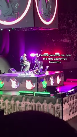 💚🩷💜 #perroscriollos #lokillo #fouryourpage #viral_video #paratiiiiiiiiiiiiiiiiiiiiiiiiiiiiiii 