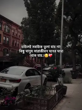 চাইলেই সবাইকে ভুলা যায় না, কিছু মানুষ সারাজীবন মনের মধ্যে থেকে যায়.!😊❤️‍🩹 #status #foryoupage #unfreezemyacount #growmyaccount #afjal_780 @TikTok @TikTok Bangladesh @tiktok creators @For You House ⍟ 