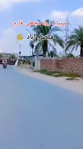 ستیانہroad faisalabad ya kaha pa ha comment bma batooo#فیصل_آباد #fypシ #fypシ #unfreezemyaccount #fypシ 
