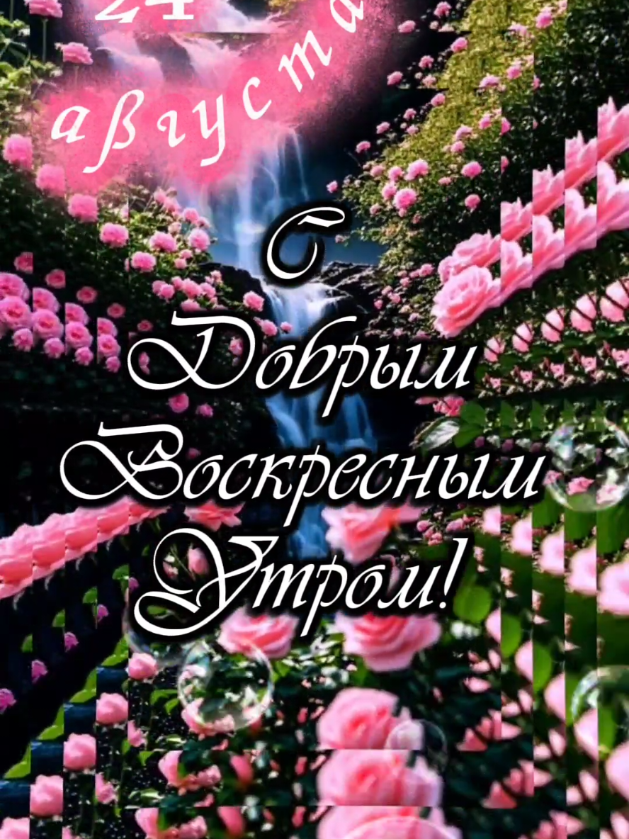 С Добрым Воскресным Утром! 24 августа. #сдобрымвоскреснымутром #24августа #владаалматы #доброгоутрадрузья #открыткисдобрымутром 