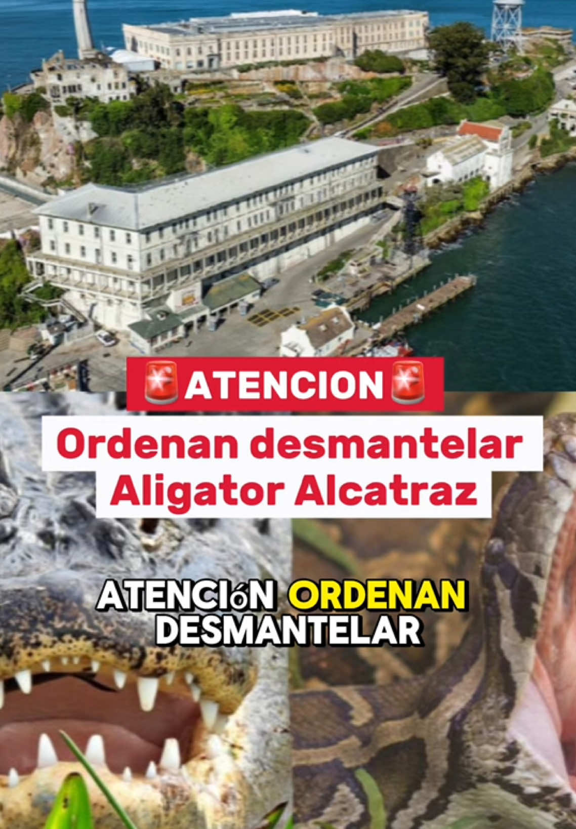 Jueza federal ordena desmantelar 