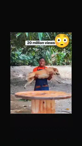 no todo es lo que parece #fyppppppppppppppppppppppp #goldenretriever #perritos #dog #pitbullsoftiktok 