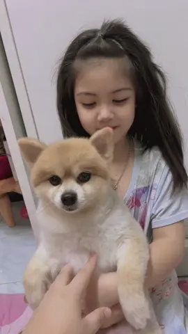 😅😂#น้องทีน่าปีหมู 