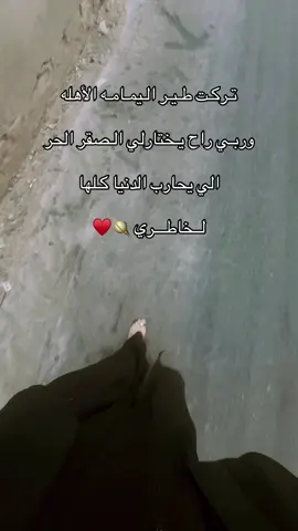 حللت دمي بـ يابخت #طير#اليمامة #متابعه #لايك_متابعه_اكسبلور 