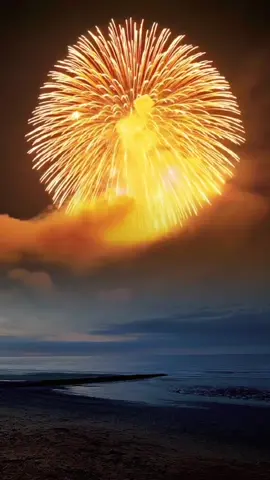 #pourtoi #fyp #firework 