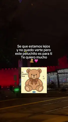 este peluchito es para ti #novios #diadelpeluche #osodepeluche #viral #distancia @TikTok 