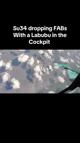 Labubu x Su34 #labubu #russia #su34 #fyp 