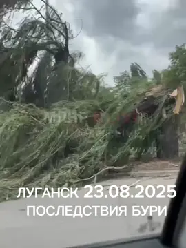 Луганск новости Мощный ветер уже натворил дел в Луганске #новости2025сегодня #типичныйлуганск  #луганск #лнр #лугансксегодня               