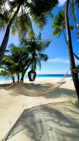 Ceci et pas d’autres plans 👙☀️ #maldives #relaxing #beachvibes #maldivestiktok #plage 
