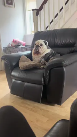 #dogsoftiktok #Love #fyp #feature #viral 