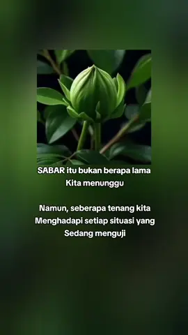 #assalamualaikum🙏 #fypシ゚ #fypviralシ #katakata 
