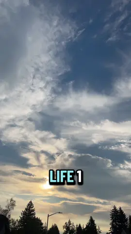 TikTok picked this sound for me this morning with this guy that I provided it. This hit me hard!#tiktokpickedthesong #gratitude #blessings #grateful #blessed 