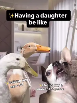 Tell me I’m wrong #daughters #mothers #MomsofTikTok 