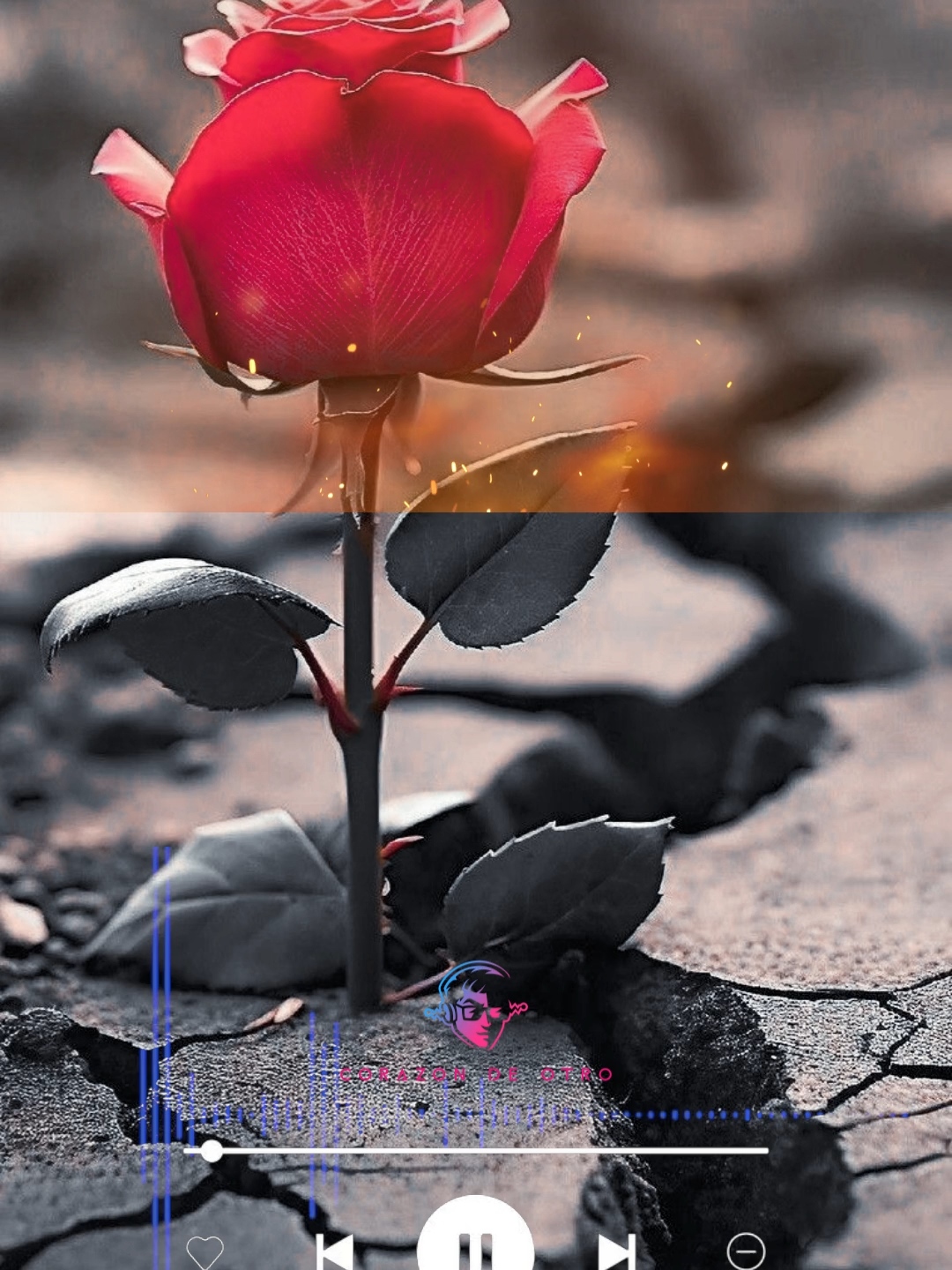 ENAMORADO DE TUS OJOS  (POEMA) Cada vez que estás cerca de mí, me vuelvo loco, solo puedo soñar con tus ojos, si me dejaras, si me dejaras amarte, pero amarte de verdad. Me harías el hombre más felíz, y sería, sería un loco por llevarte al altar. #romantico #poema #desamor