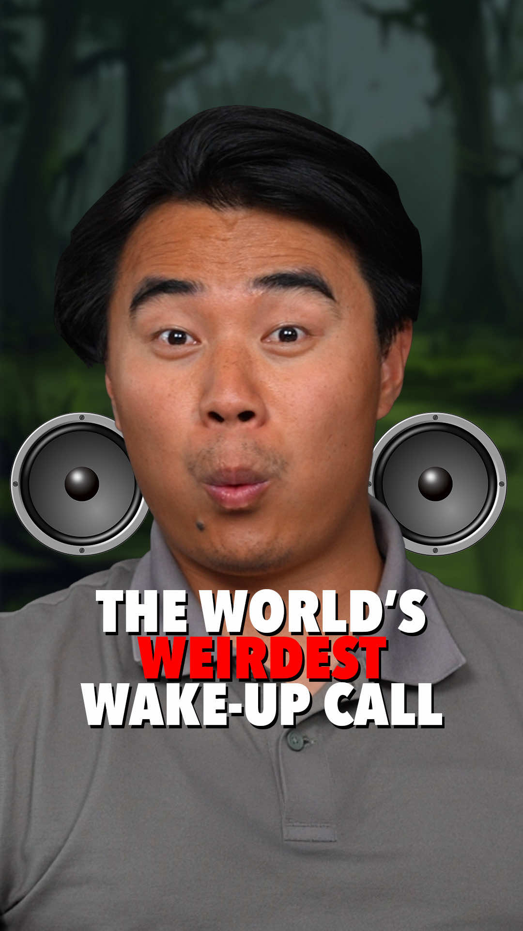 North Korean People Wake Up to This. #askanorthkorean #northkoreandefector #dprk #fyp 