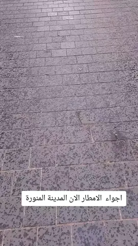 امطار المدينة الان