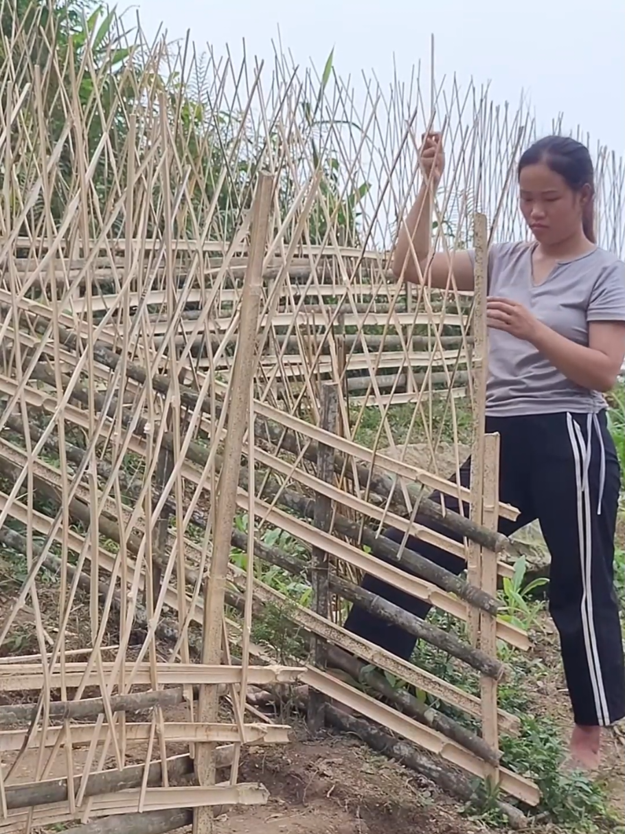 The single mother's house was destroyed by bad guys and her meager savings were taken