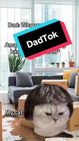 I’m investing ✨ #creatorsearchinsights #FamilyTok #dadsoftiktok #AmazonLife #PetHumor