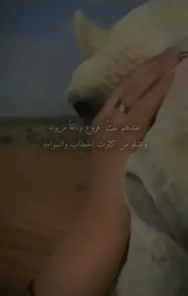 #اكسبلورexplore #fypシ゚viral #لايك_فولو 