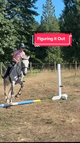 Finally figuring out how to ride Danny ☺️ now just to get alot stronger #equestrian #adultammateur #dannythehallahorse #strengthandconditioning 