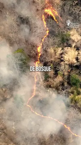 🔥 El humo de los chaqueos no se queda afuera… también entra a tu hogar. Cada año, los chaqueos cubren nuestras ciudades de cenizas y toxinas invisibles que dañan tus pulmones y los de tu familia. 😷💔 Lo que respiras en la calle también invade tu sala, tu dormitorio… incluso el cuarto de tus hijos. Pero tu hogar puede ser diferente. Con un purificador de aire de Bienestar Global respiras aire limpio, reduces el riesgo de alergias, asma y enfermedades respiratorias, y conviertes tu casa en un verdadero refugio. ✨🏡💨 👉 No esperes a que el humo enferme a los tuyos. Protégelos HOY. 📞 Contáctanos ahora y date un respiro con Bienestar Global 👉 WhatsApp: 65368000 👉 Entregas gratuitas en todo el país #BienestarGlobal: ¡Date un respiro! 💙 #dateunrespiro #airelompio #familia #casalimpia 