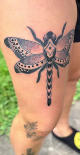dragonfly i did on myself yesterday. it’s vvvv angry today🥲 #tattoo #tattooartist #beginningtattooist 