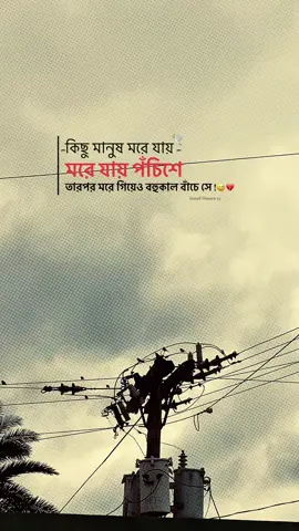কিছু মানুষ মরে যায়-🕊️মরে যায় পঁচিশে তারপর মরে গিয়েও বহুকাল বাঁচে সে!💔😅#foryou #bdtiktokofficial🇧🇩 #foryoupage❤️❤️ #trending #foryoupageofficial @TikTok Trends @TikTok 