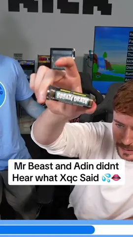 Not a thought behind those eyes. Just waiting for the breath death in his mouth #xqc #adinross #mrbeast #teamwater 